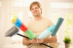 Domestic Cleaners SW17