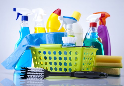 Streatham Cleaners introduction and local cleaning service overview