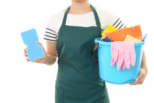 Professional cleaning company in Streatham working in a modern living room