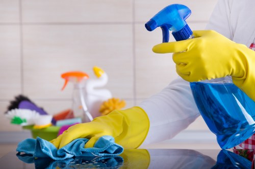 Professional cleaners in Streatham working in a bright home