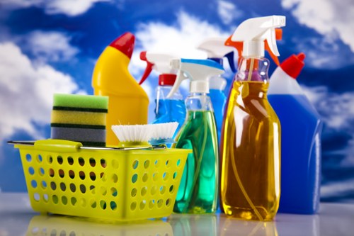 Local cleaner in Streatham sanitising a bright bathroom