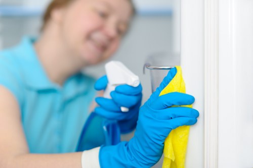 Cleaning a modern office workspace in Streatham