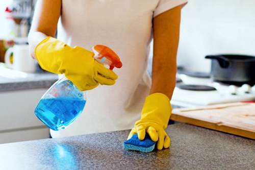 Eco-friendly cleaners in Streatham using safe cleaning products