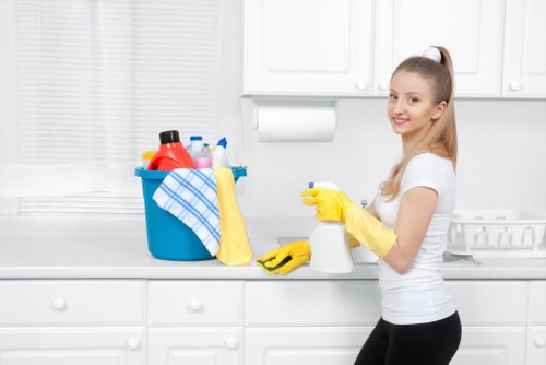 Final stage of a fair complaints procedure for cleaning services