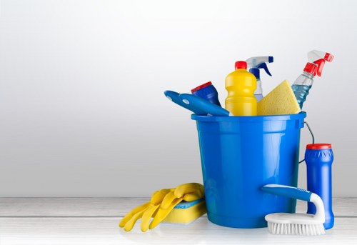 Domestic cleaners in Streatham refreshing a bright family home