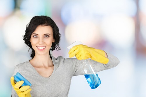 Expert Streatham cleaning support for residential and commercial spaces