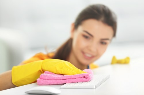 Tenancy cleaning checklist and final move-out clean in Streatham