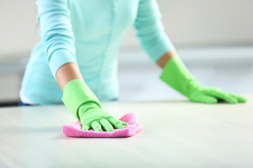 Local Streatham cleaning service providing detailed home care