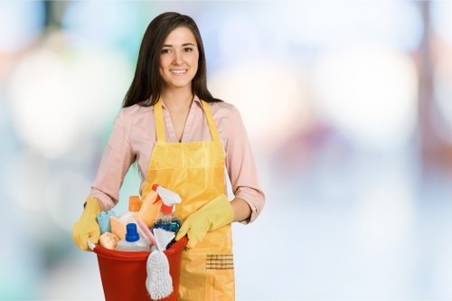 Professional Streatham cleaners describing their service approach